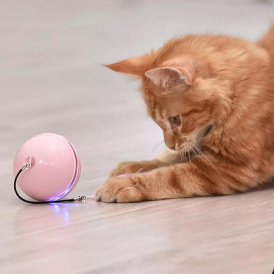 Feather LED Pet Ball with Illumination: pink, black cat, minimal style