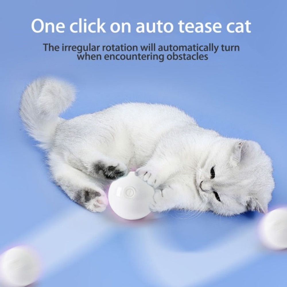 Feather LED Pet Ball with Illumination
