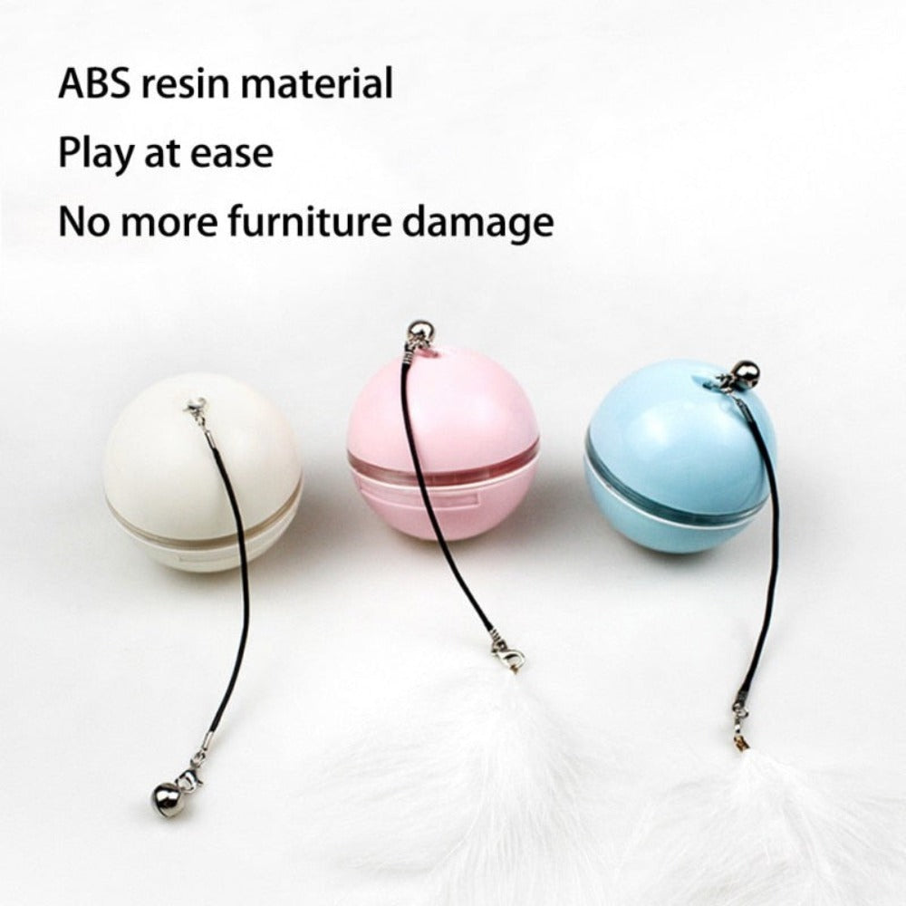 Feather LED Pet Ball with Illumination