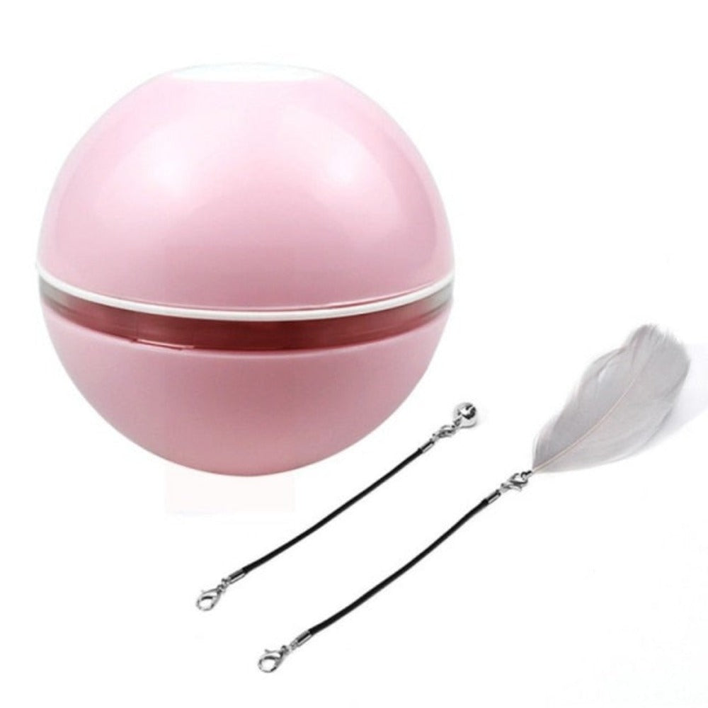 Feather LED Pet Ball with Illumination