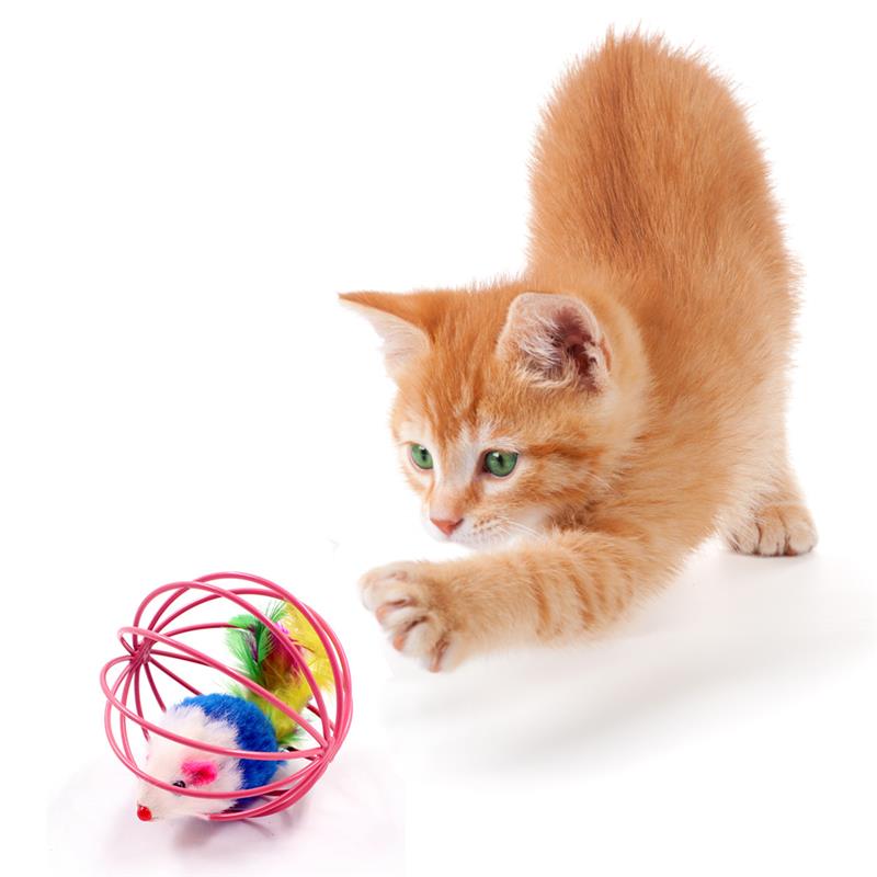 Hilarious Spinning Cat Toy Set with 5 Cages