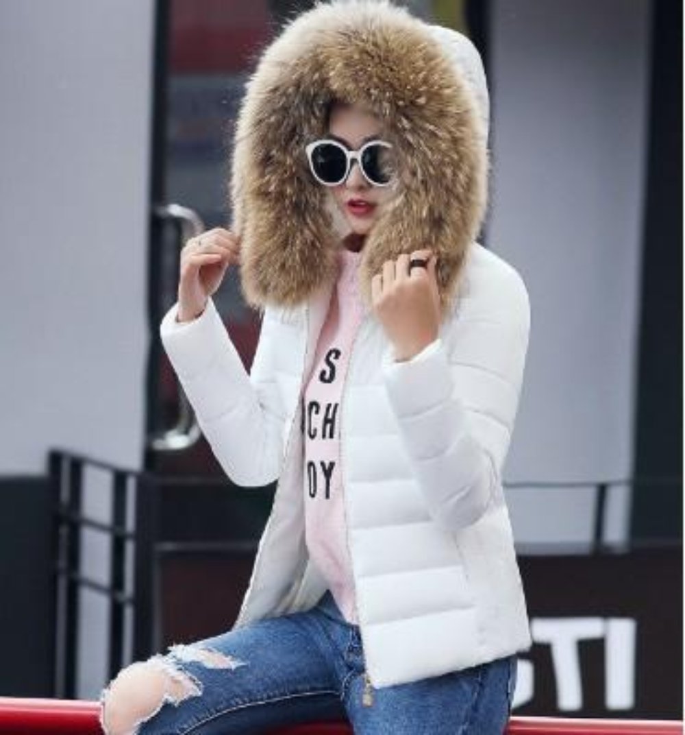 Slim Fit Pink Hooded Winter Zip Up Short Coat for Women