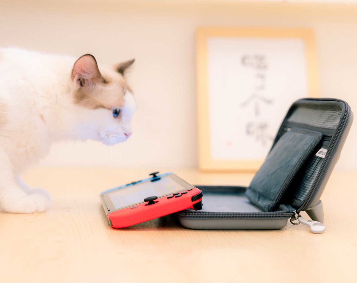 Cute Cat Nintendo Switch Case